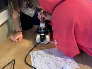Students looking at water samples